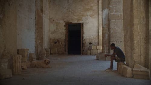 Palermo Sole Nero Bild 1