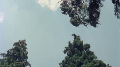 Fortini/Cani Bild 7