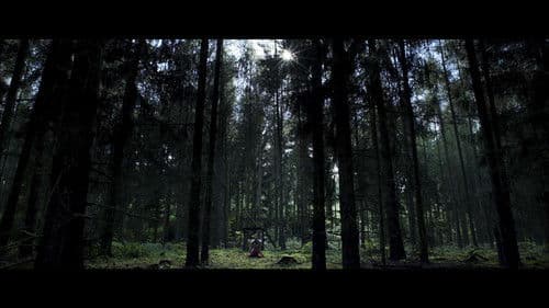 zweisam gemeinsam einsam Bild 2