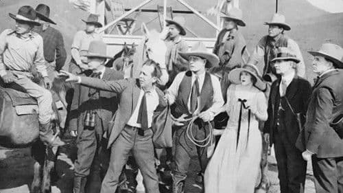 Daring Chances Bild 1