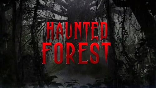 Haunted Forest Bild 1