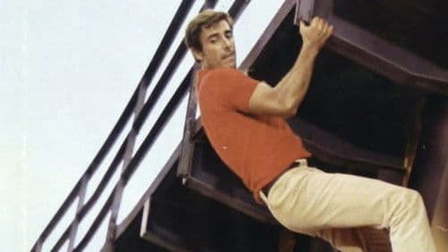 Il baco di seta Bild 1