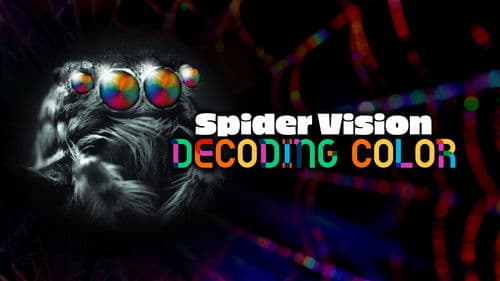 Spider Vision: Decoding Color Bild 1