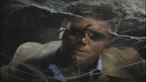 Curse of the Black Widow Bild 1