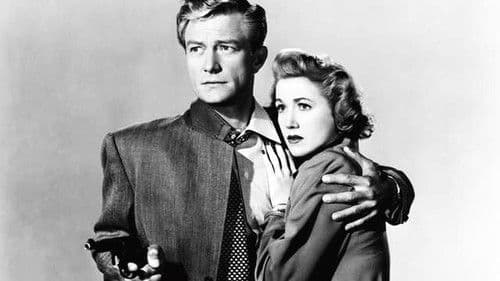 Insurance Investigator Bild 1