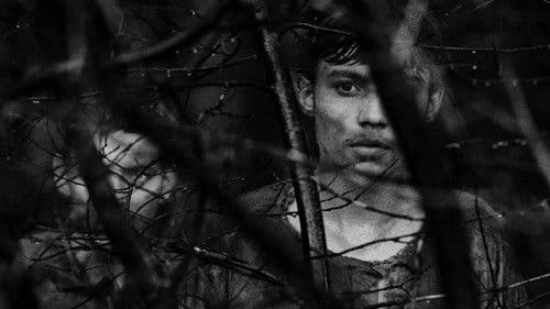 Démanty noci Bild 1