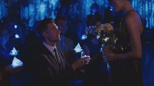 Stars Fell Again Bild 4