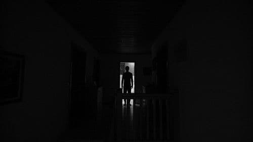 Lost In The Shadows Bild 2