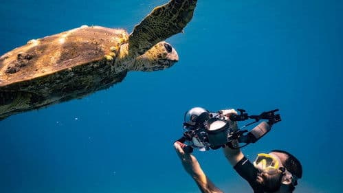 Méditerranée: L'odyssée pour la vie Bild 1