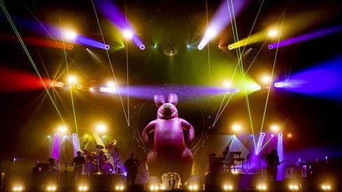 The Australian Pink Floyd Show - Everything under the sun Bild 4