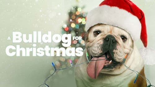 A Bulldog for Christmas Bild 4