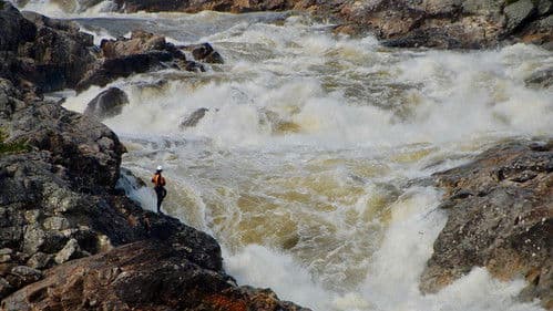 Je suis Magpie Bild 1