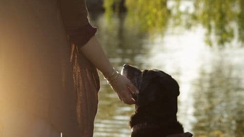 Adele and Everything After Bild 2