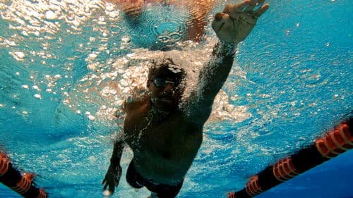 Dive 2: The Journey Continues Bild 1