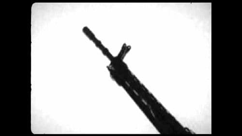 Fuego Selectivo Bild 2