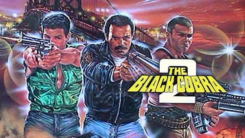 Black Cobra II: Einsatz in Manila Bild 8