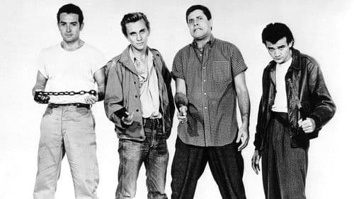 Der Held von Brooklyn Bild 2