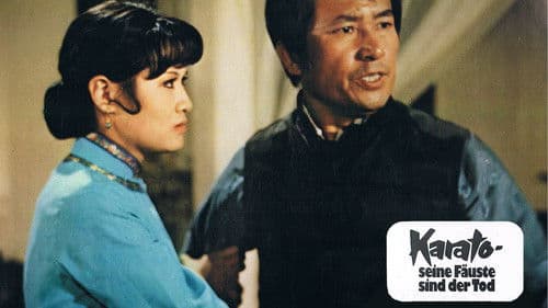Karato - Seine Fäuste sind der Tod Bild 4