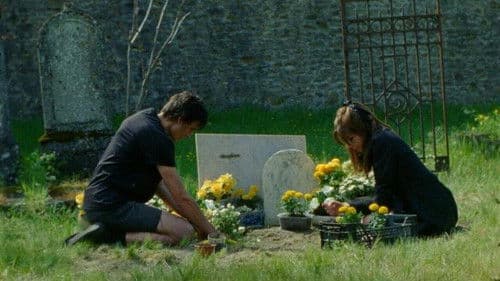 Anapidae (Appelle-moi) Bild 1