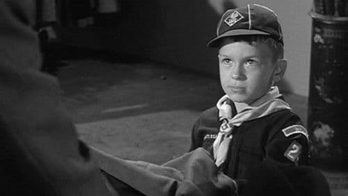 Mister Scoutmaster Bild 6