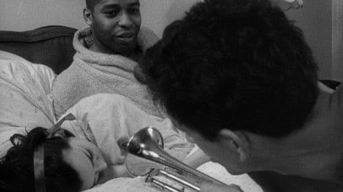 Útěk ze stínu Bild 4