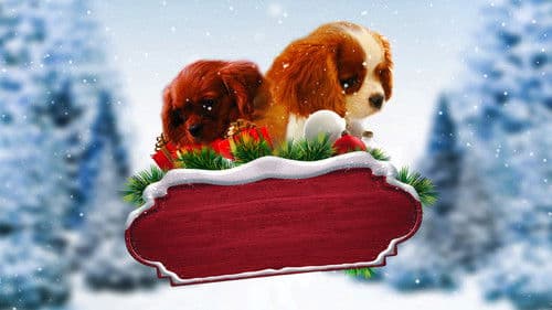 Project: Puppies for Christmas Bild 1