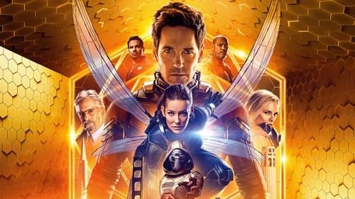 Ant-Man and the Wasp Bild 3