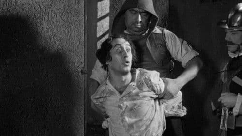 Lorenzino de' Medici Bild 8