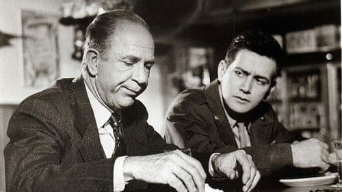 Rosen für die Lady Bild 3