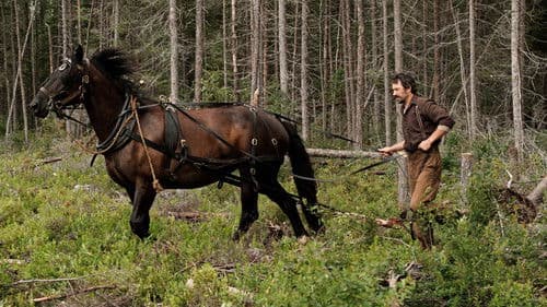 Maria Chapdelaine Bild 1