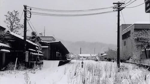 生まれた場所 Bild 4