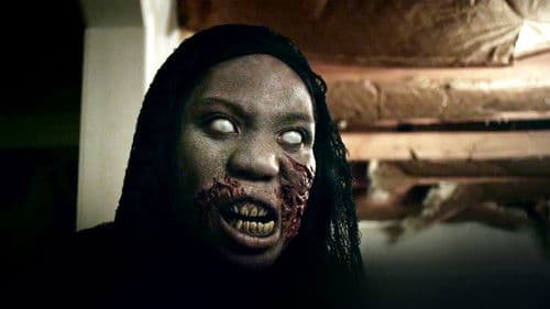 They Wait in the Dark Bild 2