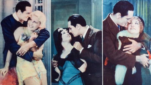 The Boudoir Diplomat Bild 2