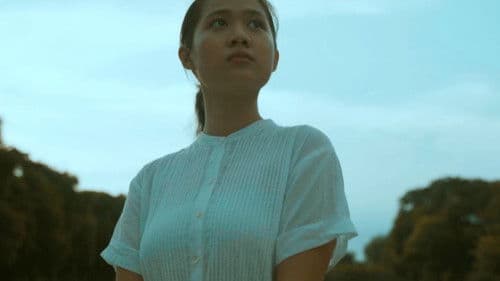 The Silent Words of a White Bird Bild 1