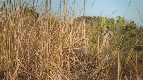 ฝนแล้ง Bild 5