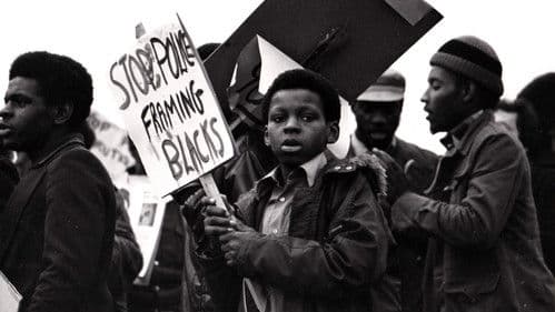 Blacks Britannica Bild 1