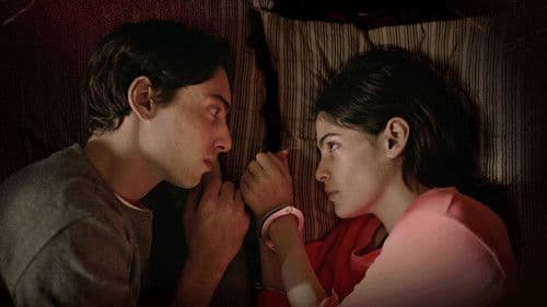 Dias Perfeitos Bild 2