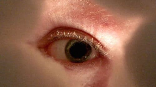 Downturned Umbrellas Bild 1