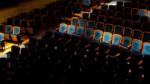 Entre plumas falsas y balas verdaderas Bild 4