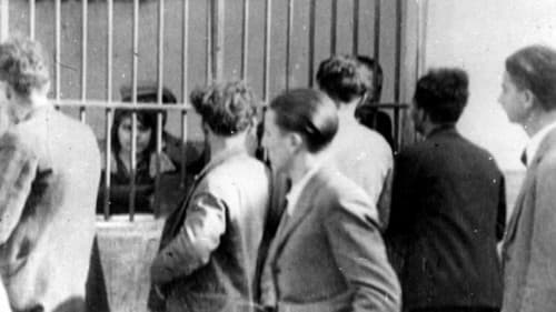 Κοινωνική σαπίλα Bild 6