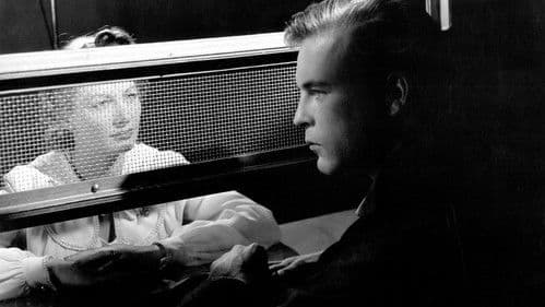 Rebellion im grauen Haus Bild 3