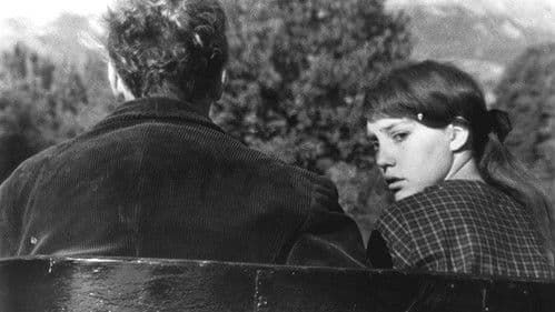 Zum Beispiel Balthazar Bild 2