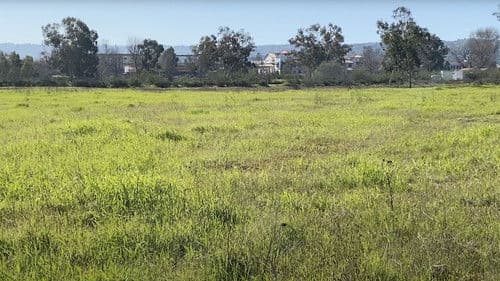 Madrona Marsh Bild 1