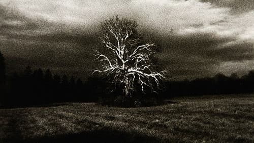 Landscape (for Manon) Bild 2