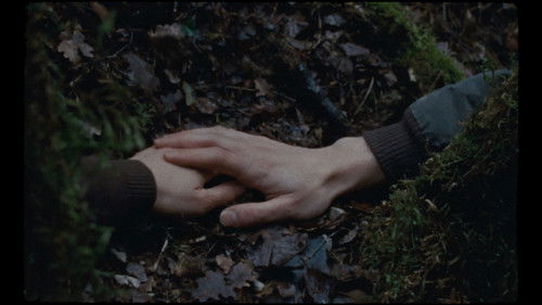 La font de la memòria Bild 4