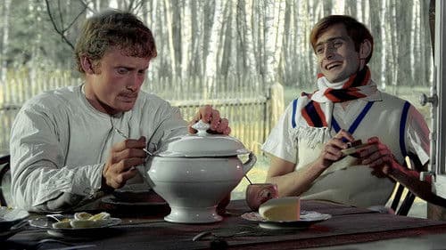 Das Birkenwäldchen Bild 8