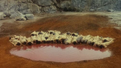 Rosa de Areia Bild 8