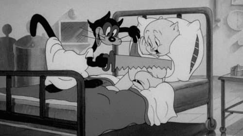 Patient Porky Bild 1