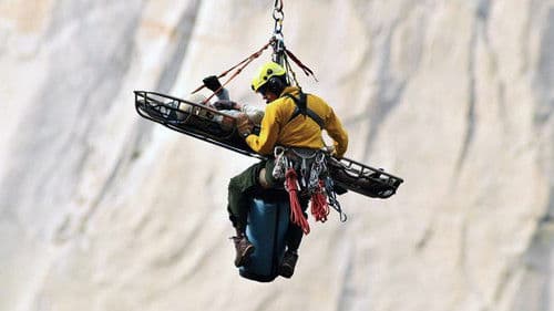 An Accidental Life Bild 1