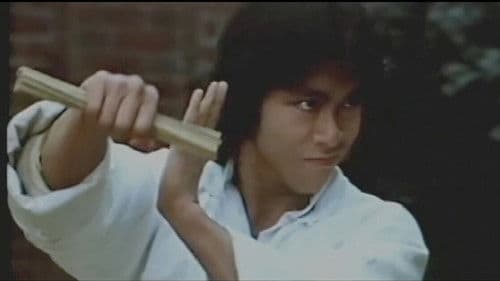 Die Superfaust der Shaolin Bild 1